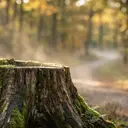 Hyperrealistic × Landscape